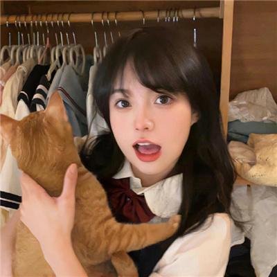 热播剧集